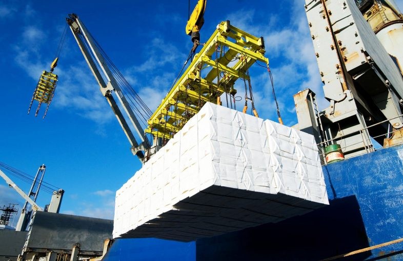 Exportaciones forestales de la Región del Biobío disminuyeron 29,1% en el trimestre abril-junio de 2024