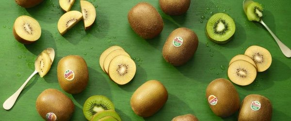 Zespri proyecta alza de envíos y precios de kiwis para campaña 2024-2025