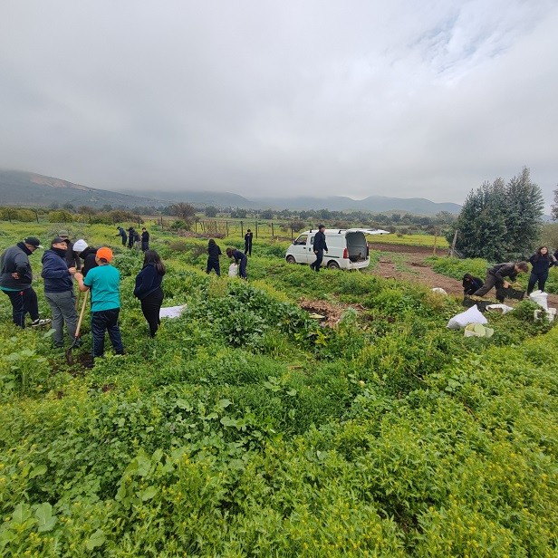 Construyen piloto de Agricultura Regenerativa para fomentar la producción sostenible en estudiantes del Liceo Agrícola Cordillera de Chincolco