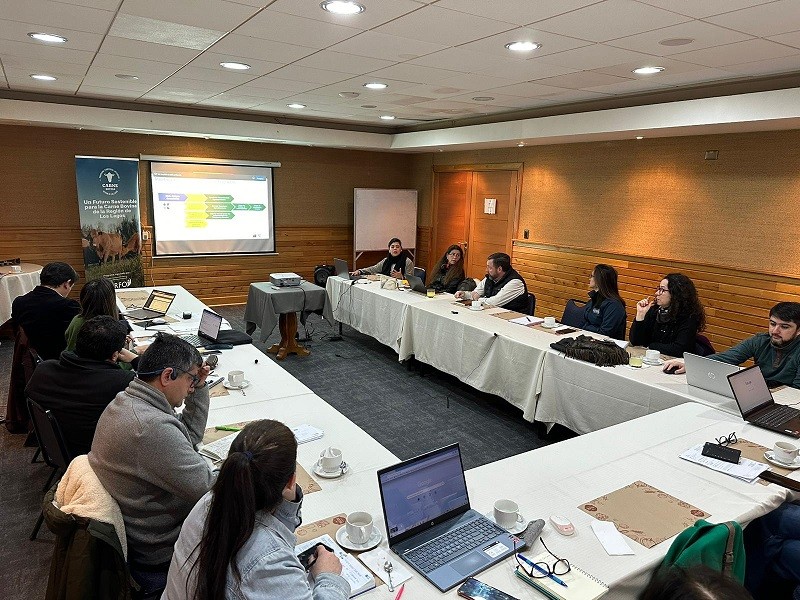 PTI de la Carne Bovina impulsa avances en sostenibilidad y competitividad del sector