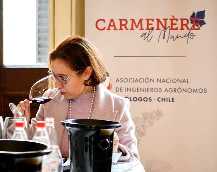 Chile pone al Carmenère en el mapa mundial del vino