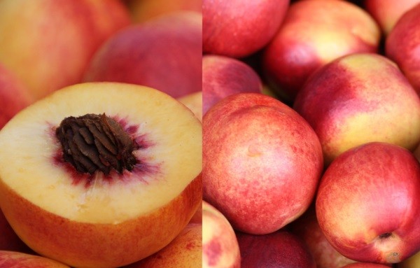 USDA proyecta que consumo de duraznos y nectarines seguirá cayendo en Japón