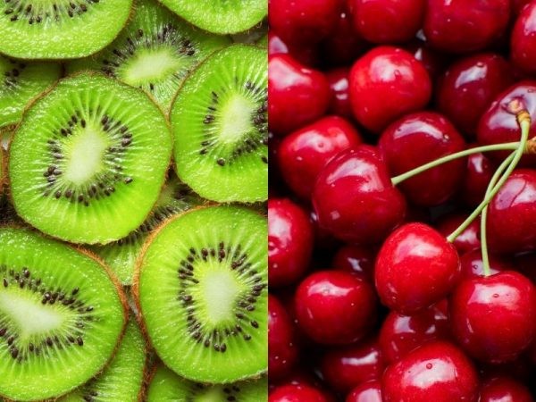 Copefrut busca potenciar kiwis y cerezas chilenas en India