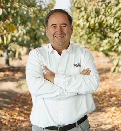 Presidente de Garcés Fruit: “Buscamos llegar a los 2 millones de cajas de kiwis en los próximos 4 a 5 años”