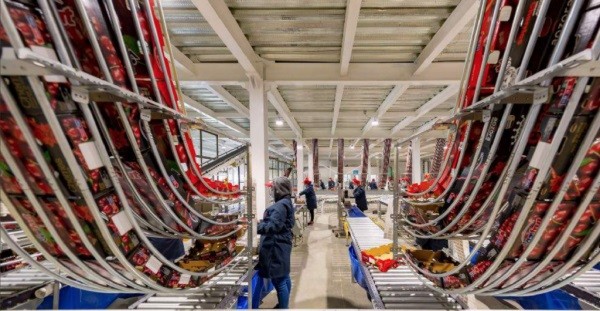 Unifrutti y Grupo Verfrut Chile & Perú finalizan adquisición y se unen de forma oficial