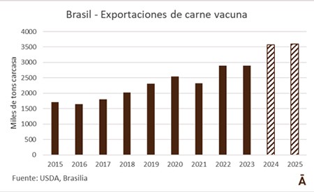 GRADUAL CAMBIO DE FASE EN EL CICLO GANADERO EN BRASIL SEGÚN USDA