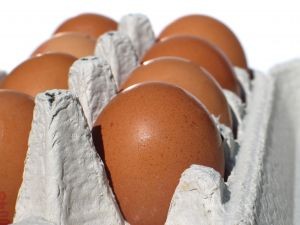 Producción de huevos de consumo presentó un aumento interanual de 6,4% en julio de 2024