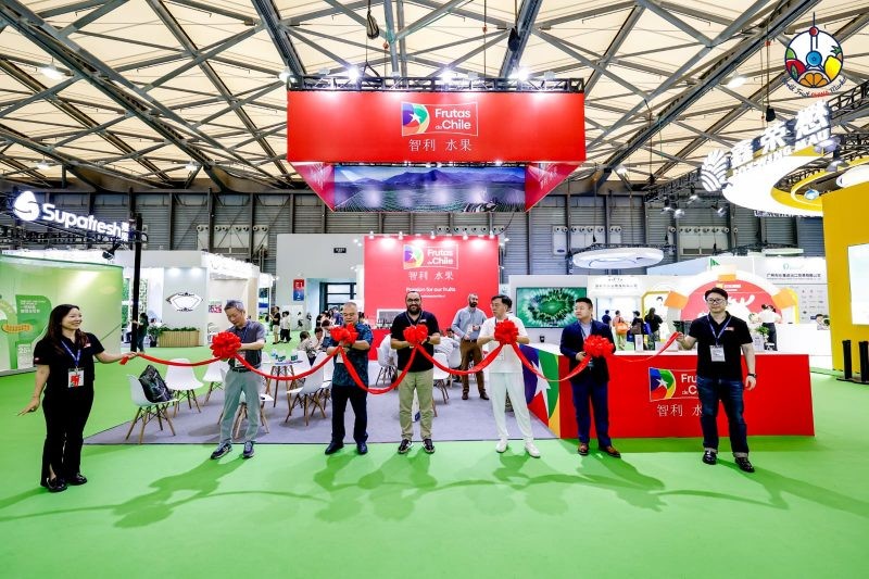 Frutas de Chile: Gran presencia en feria “China Fruit” de Shanghái