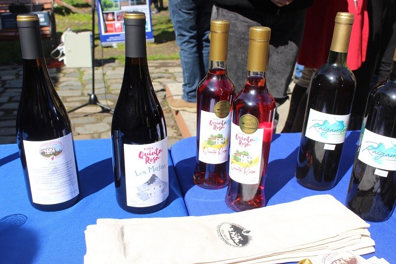 Con exposición de diversas cepas se conmemoró el Día nacional del Vino en Biobío