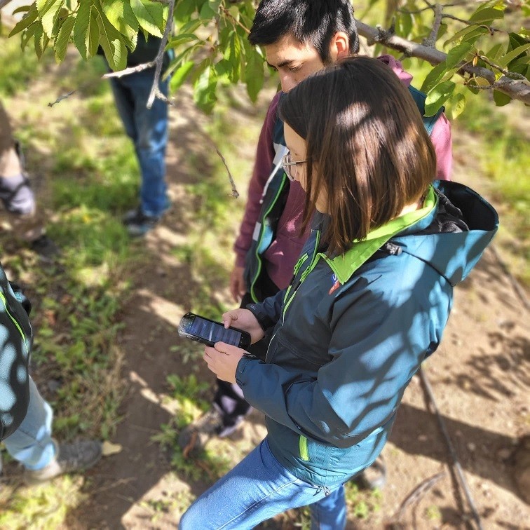 SAG implementa digitalización que disminuye hasta un 80% los tiempos en vigilancias fitosanitarias