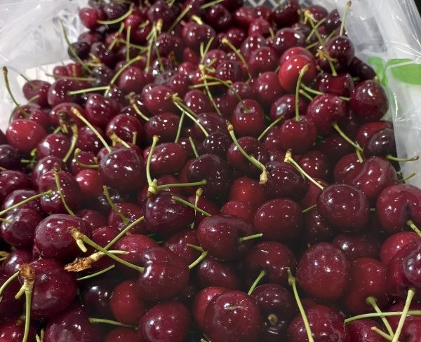 Grupo Los Olmos busca impulsar envíos de frutas frescas a Asia