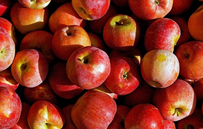 China: Las manzanas de Gansu crecen en los mercados extranjeros