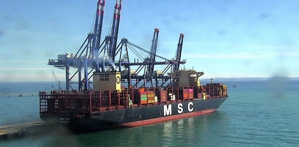 Movimiento de carga portuaria en la Región del Biobío evidencian caída de 12,7% en doce meses