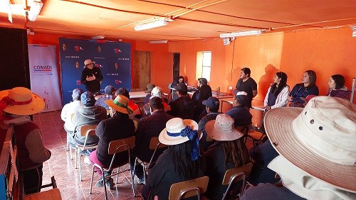 Convenio CONAF-CONADI busca recuperar 2 mil 500 hectáreas de bofedales en territorios altoandinos