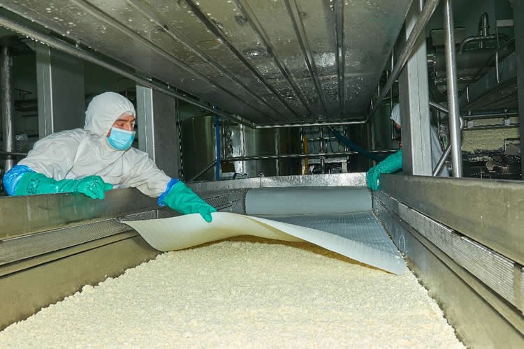 Elaboración láctea mantiene comportamiento mayormente al alza
