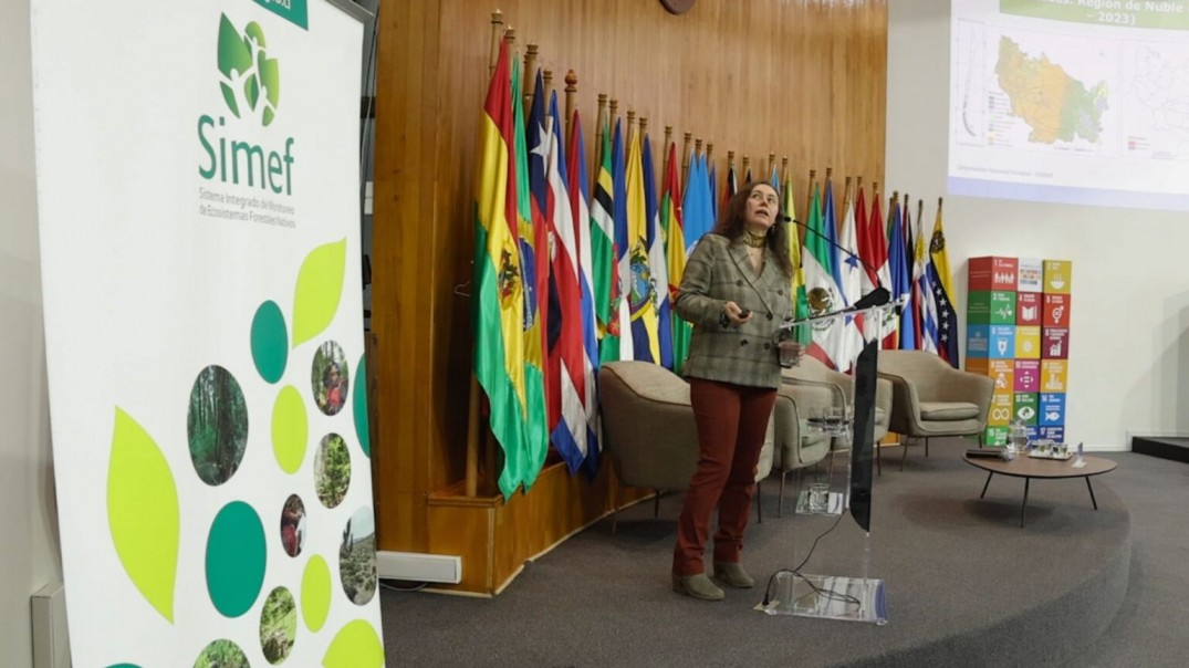 Presentan resultados del monitoreo de los ecosistemas boscosos