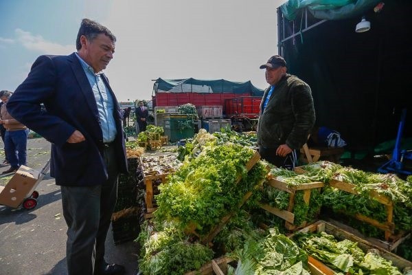 Ministro de Agricultura anticipa una buena temporada de frutas
