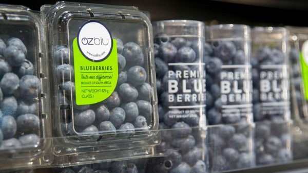 Los arándanos OZblu alcanzan un nuevo récord de precio en Shanghái