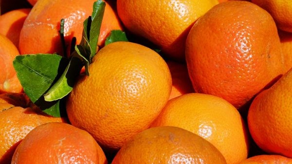 Perú: Crecen envíos de mandarinas a EEUU y México en agosto de este año
