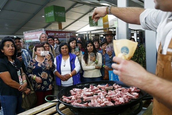 Expo Chile Agrícola: Una completa agenda educativa para todo el país