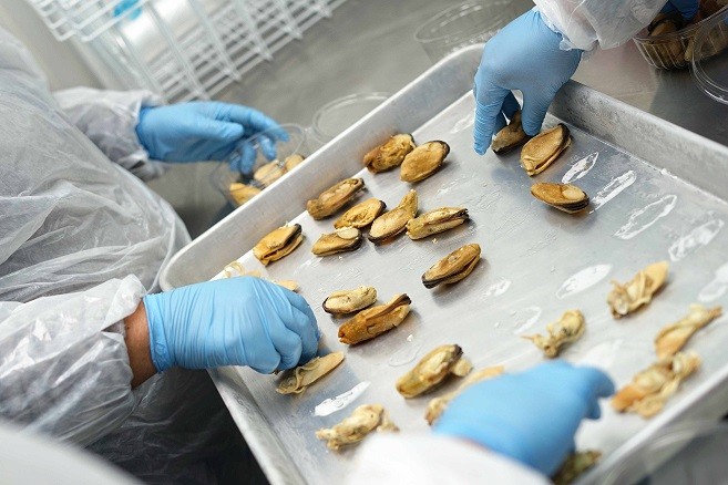 Recolectoras de orilla se capacitan en la producción de mariscos con valor agregado