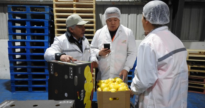 Compradores de importante supermercado chino visitan Chile con el fin de aumentar la presencia de productos chilenos en sus tiendas