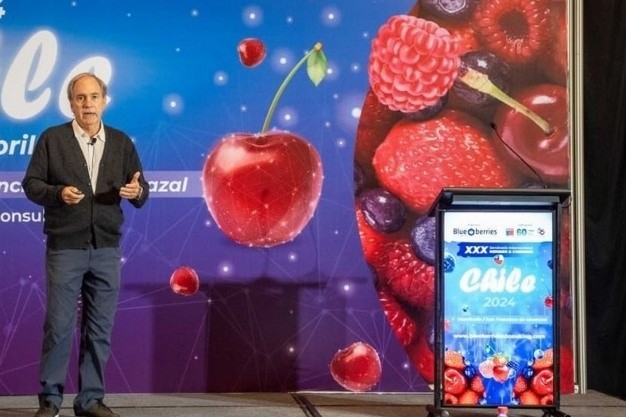 Chile proyecta un aumento del 40% en la exportación de cereza para la próxima temporada