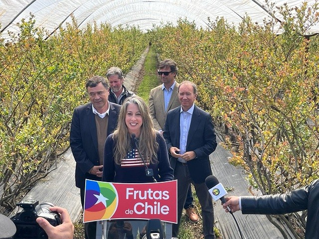 Primer “Blueberry Day”: Con presencia de Embajadora de EEUU y ministro de Agricultura Comité de Arándanos de Frutas de Chile dio inicio oficial a la nueva temporada 2024-2025