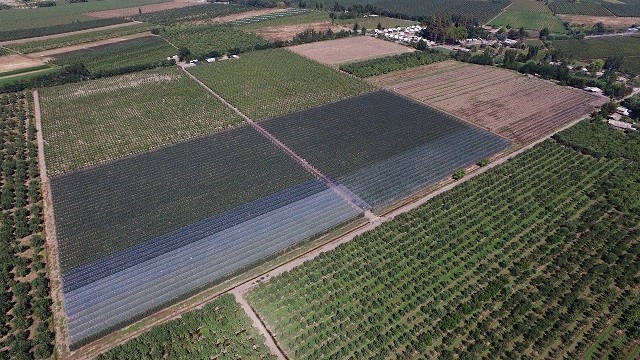 Expertos nacionales y extranjeros se reunirán para analizar el impacto del uso de plásticos en la agricultura