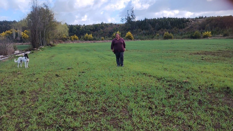 Futuro campesino: el retorno de la juventud rural a sus raíces