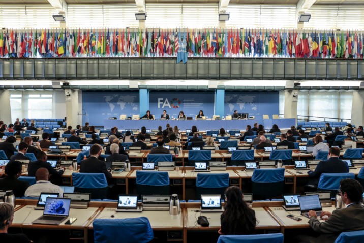Comité de Agricultura de FAO aprueba propuesta de Chile para contar con un “Día Internacional de las Frutas y Verduras”