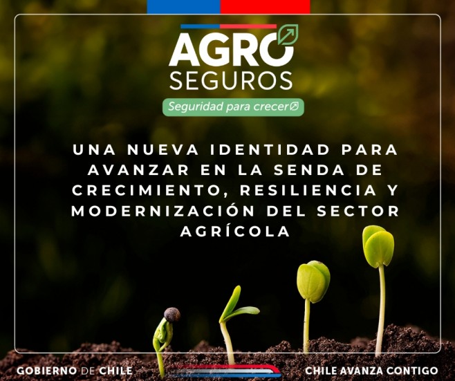 AGROSEGUROS REVITALIZA SU TRABAJO CON UNA NUEVA IDENTIDAD DE MARCA