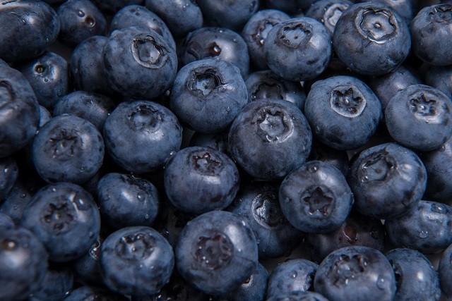 Bloom Fresh se expande y compra programa de mejoramiento genético de Inka’s Berries