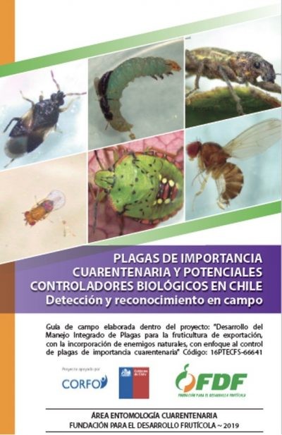 Enemigos naturales: Una opción clave para controlar plagas y avanzar hacia la sustentabilidad en la agricultura