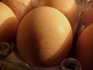 Producción de huevo por parte de Perú alcanzó las 503.080 toneladas en 2023