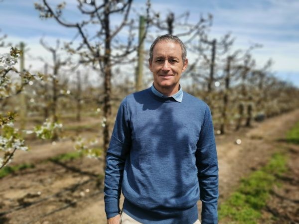 Gerente General de Grupo Margozzini: “Proyectamos una buena temporada de exportaciones de cerezas 2024-25”