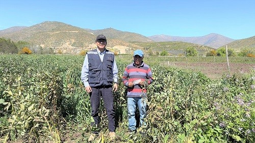 Productores de Salamanca afectados por heladas de julio recibieron indemnizaciones del seguro agrícola
