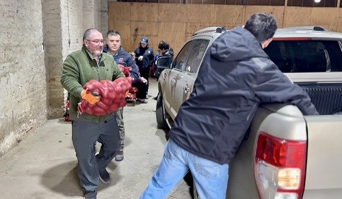 Con entrega de 10 toneladas de semillas de papa apoyan a agricultores de INDAP Magallanes tras heladas