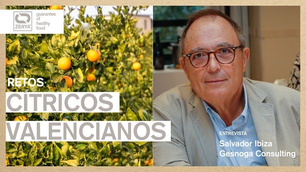 Salvador Ibiza : «La diferenciación es necesaria para conseguir una mayor rentabilidad en cítricos».