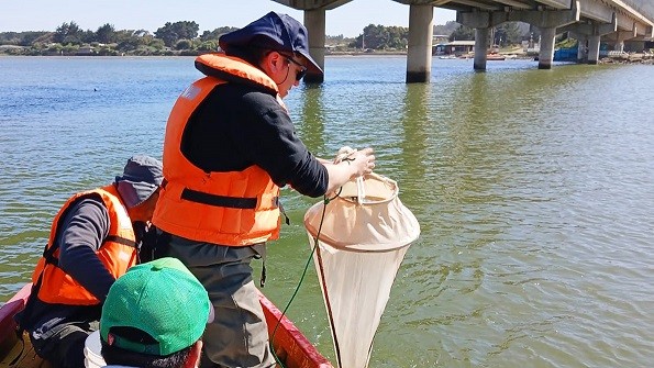 Buscan potenciar la acuicultura de pequeña escala en las regiones de O’Higgins y el Maule