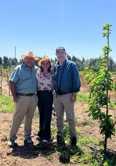 Argentina dio un nuevo paso en la carrera por conseguir la cereza más temprana del hemisferio sur