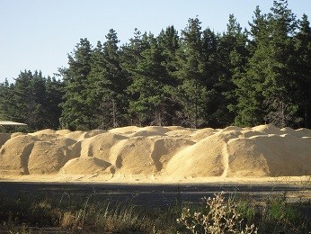 Volumen de subproductos de madera generados por la industria del aserrío concentrada en los aserraderos permanentes