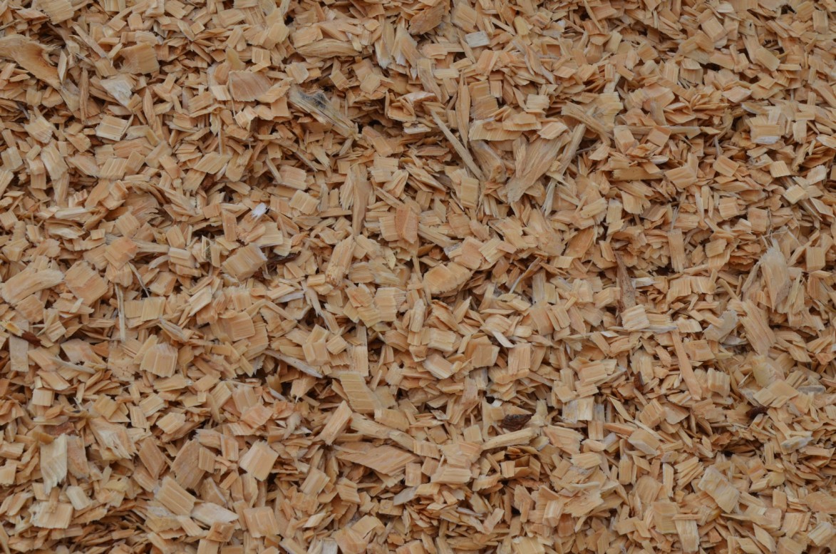 Las centrales de astillado concentran su actividad productiva en Eucalyptus globulus y Eucalyptus nitens