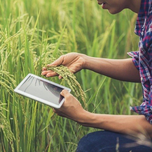 Desafíos de la conectividad en áreas rurales ¿Qué tecnología los supera?
