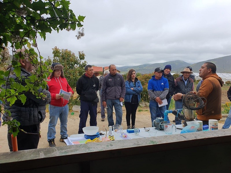 Programas CORFO refuerzan acciones orientadas a capacitar a productores sobre mantención de Sistemas de Riego Tecnificado para asegurar eficiencia en el uso de agua