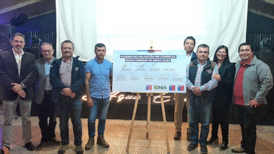 Ministerio de Agricultura presenta el programa de transferencia tecnológica de la nueva variedad de Arroz JASPE