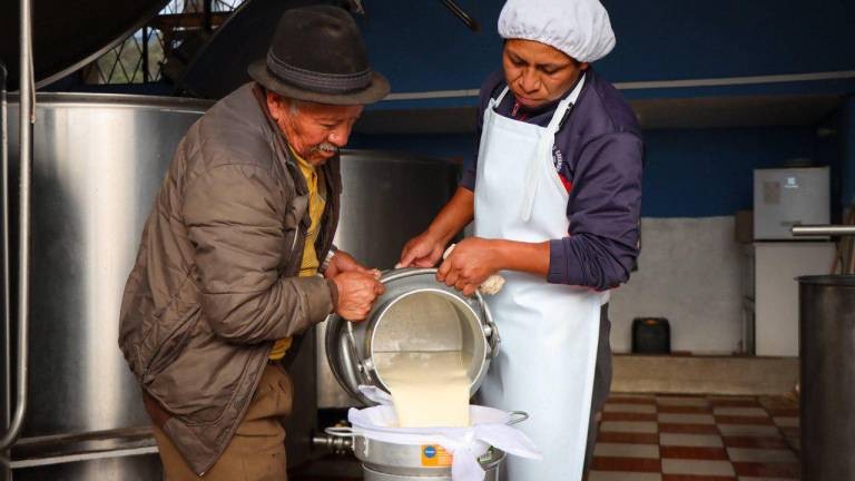 Ecuador podrá exportar productos lácteos a Chile