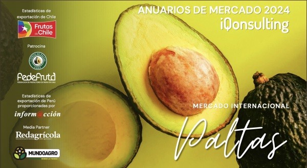 Anuario de la Palta de IQonsulting destaca aumento de precios de la palta en 2024 impulsado por una menor oferta mundial