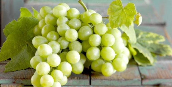 Sun World gana batallas judiciales contra los productores de uvas italianos
