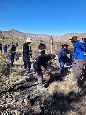 CONAF: Plan de reforestación “Siembra por Chile” plantó 300 árboles en Putre